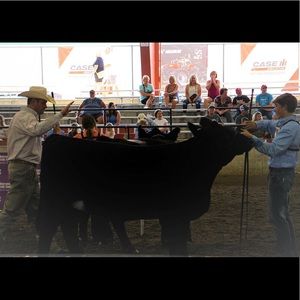 Meet your Posher, Jase